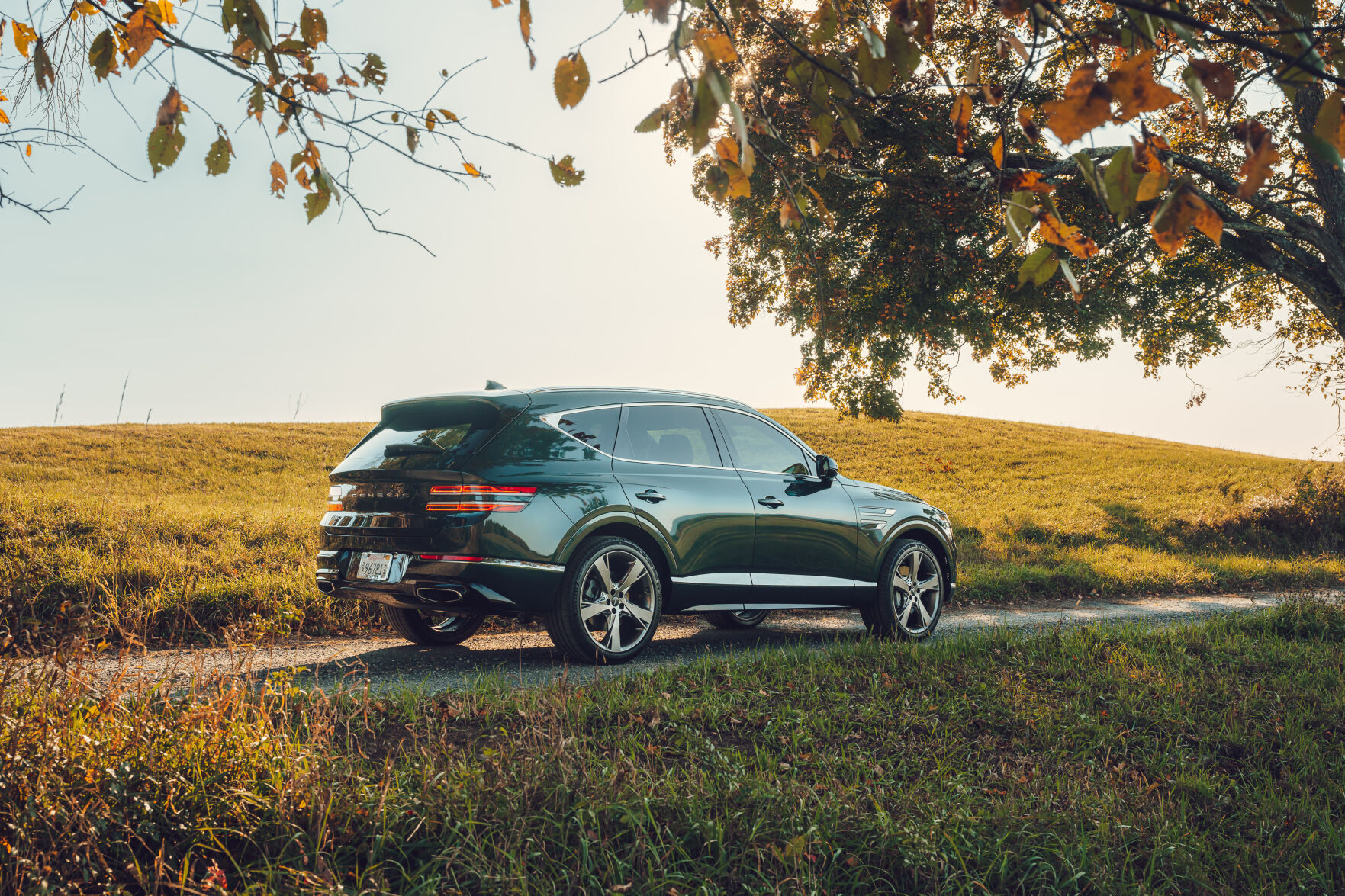 genesis2021gv80b0718.jpg